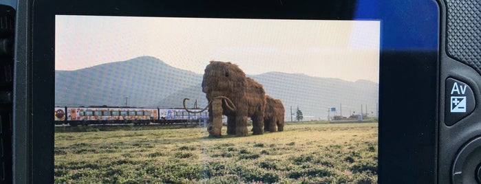 Straw Mammoth is one of 四国遍路 ちょっと寄り道.