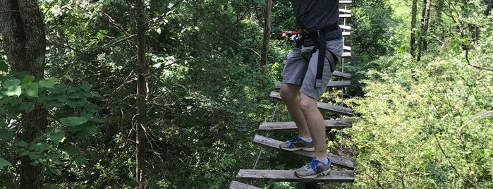 Treetop Adventure Park is one of To Do.