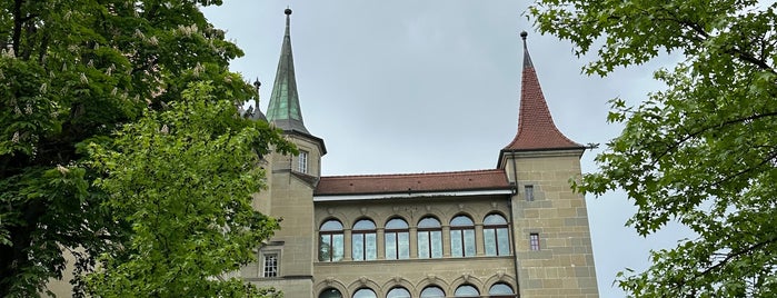 Musée d'Art et d'Histoire (MAHF) is one of Švýcarsko.