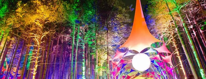 Electric Forest 2014 is one of Places.