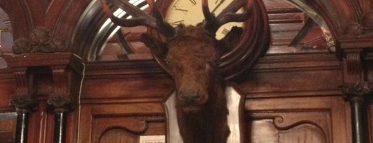 The Stag's Head is one of Ireland Trip 2016.