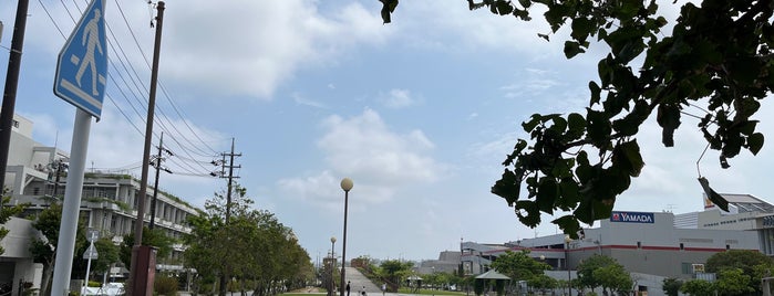 黄金森公園 is one of okinawa life.