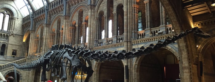 Natural History Museum is one of Tempat yang Disukai Bea.