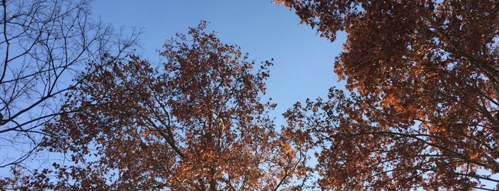 Real Jardín Botánico is one of Bea'nın Beğendiği Mekanlar.