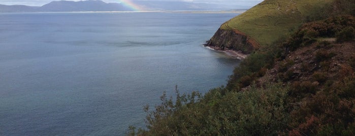Dingle Bay is one of Ireland Essentials (south-west).