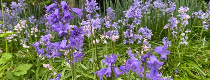 Plantentuin (Den Botaniek) is one of Belgium.