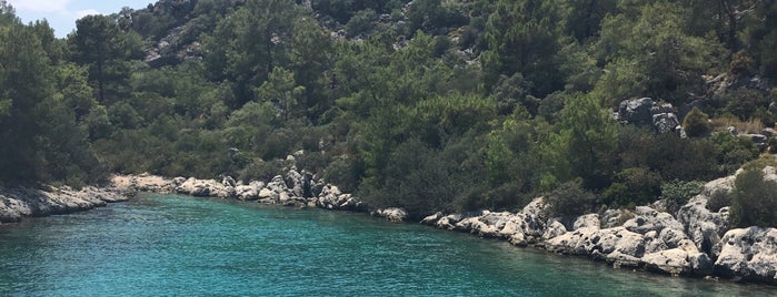 Çamlica koyu is one of Akdeniz Plajları.
