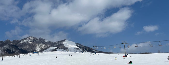 岩原スキー場 is one of 滑ったところ.