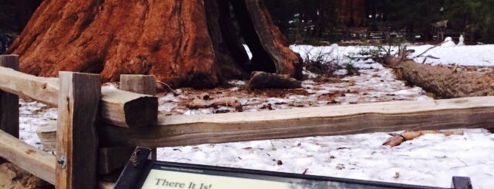 Parco nazionale di Sequoia is one of Posti che sono piaciuti a Nika.