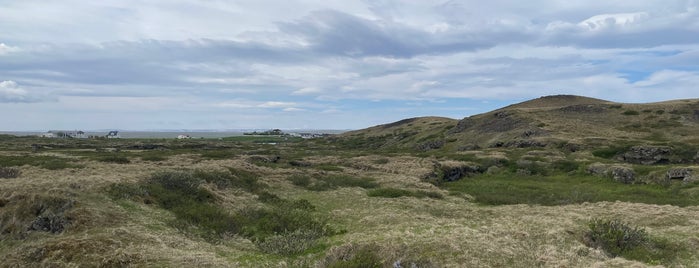 Skútustaðir Mývatn is one of Island.