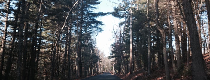 Wrentham State Forest is one of Lugares guardados de Shannon.