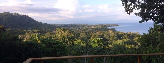 Lapa Rios Ecolodge is one of Costa Rica.