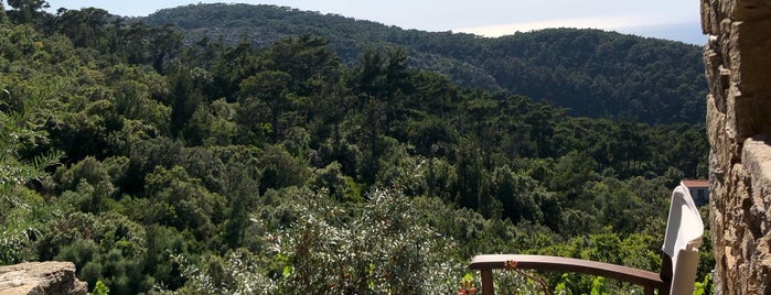karimalis winery is one of Ikaria.
