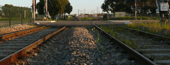 Glanville Railway Station is one of Outer Harbour Train Line.