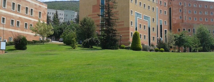 Yeditepe University - Faculty of Fine Arts is one of Bulent Onur.