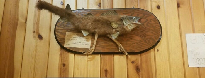 Wildlife Museum & Gift Shop is one of Lugares favoritos de Dusty.
