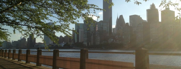 Roosevelt Island Promenade is one of NYC Jan 26th-27th.