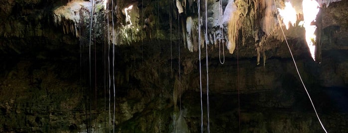 Cenote Maya is one of Valladolid.