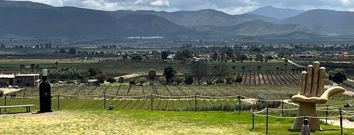 Decantos vinícola is one of Valle Guadalupe.