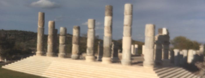 Apollon Smintheus Tapınağı is one of Altınoluk-asos-çanakkale.