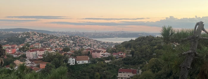 Mesutun Yeri is one of İstanbul Anadolu Yakası.