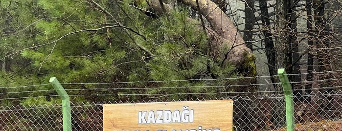 Kazdağı Milli Parkı is one of Tempat yang Disukai Nazo.