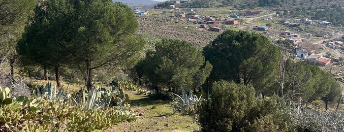 Dikili Atatürk Botanik Bahçesi is one of ✔ Türkiye - İzmir.