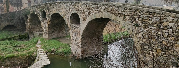 Pont Romànic is one of España.