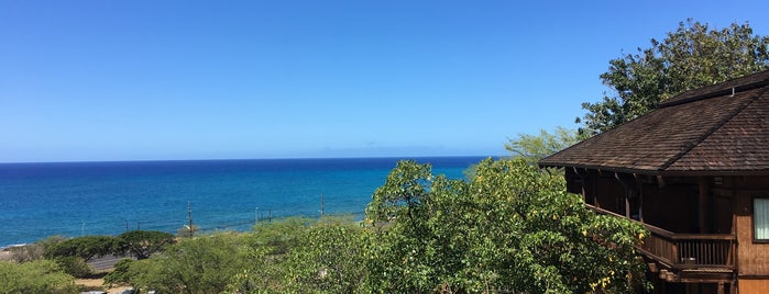 Ka'aha'aina Cafe is one of Tempat yang Disukai Kate.