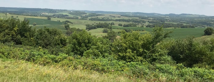 Long Hollow Tower and Scenic Overlook is one of Galena.