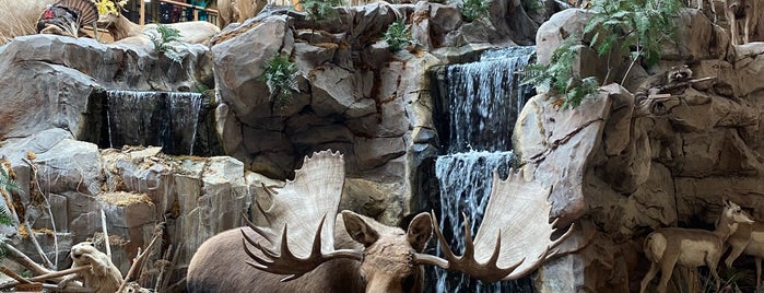 Cabela's is one of All-time favorites in United States.