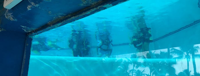 Jack's Diving Locker is one of Fav Hawaii Hangouts.