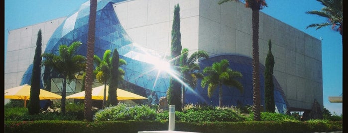 The Dali Museum is one of Museums.