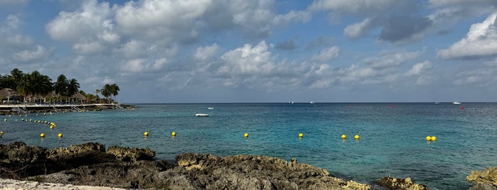 Chankanab Reef is one of Mexico 🇲🇽 Cancun/Tulum.