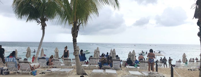 Royal Palms Beach Bar & Grill is one of Favorite Places Grand Cayman.