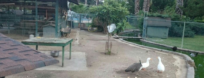 Mini Zoo is one of My places in Turkiye.