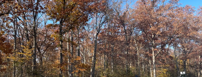 Pitzer Woods is one of Gettysburg.