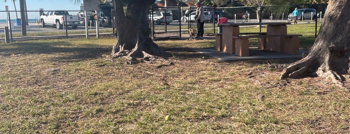 Higgs Beach Dog Park is one of Key West Adventure.