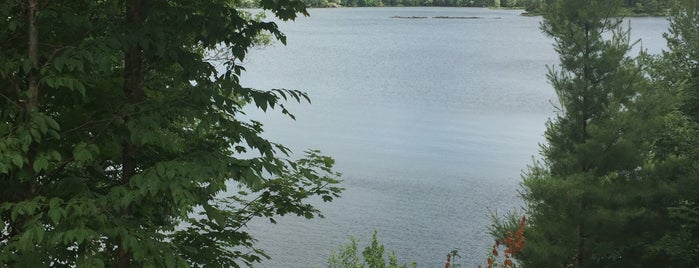 Troy Lake is one of Ashleigh’s Liked Places.