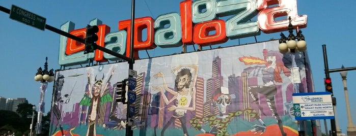 Lollapalooza 2014 - Grant Park is one of Stevenson's Big Events.