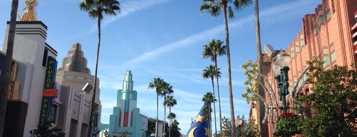 Disney's Hollywood Studios is one of Florida Favorites.