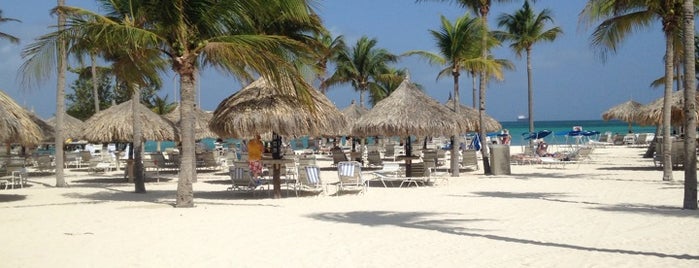 Marriott's Aruba Surf Club is one of Lugares favoritos de Jessica.