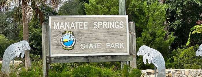 Manatee Springs State Park is one of FL Springs.