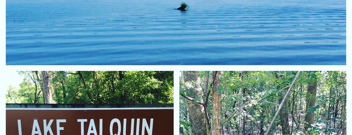 Lake Talquin State Park is one of Florida State Parks.