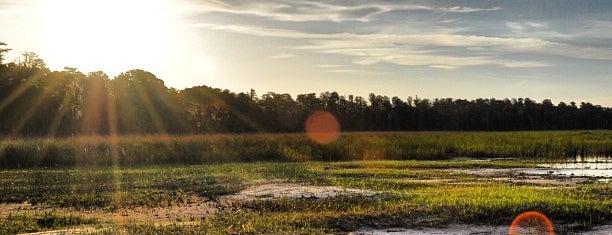 Lake Louisa State Park is one of สถานที่ที่ Lizzie ถูกใจ.