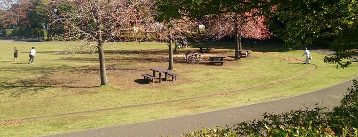 わらび近隣公園 is one of VisitSpotL+ Ver4.