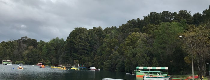 Reserva Peninsula del Lican Ray is one of Locais curtidos por el.