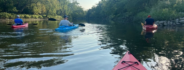 Schuth's Grove is one of Forest Preserves.