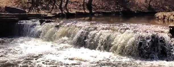 Waterfall Glen Forest Preserve is one of Places.