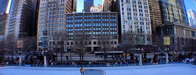 Millennium Park Chiropractic is one of Chicago.